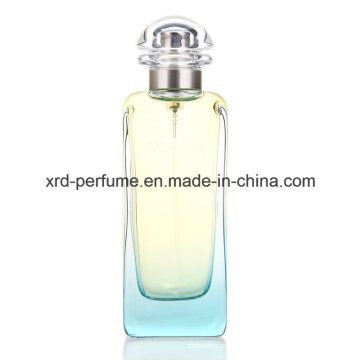 Design de moda vários cor perfume elegante designer de perfume